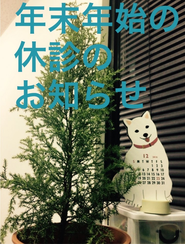 沖縄那覇小禄田原骨折脱臼捻挫怪我